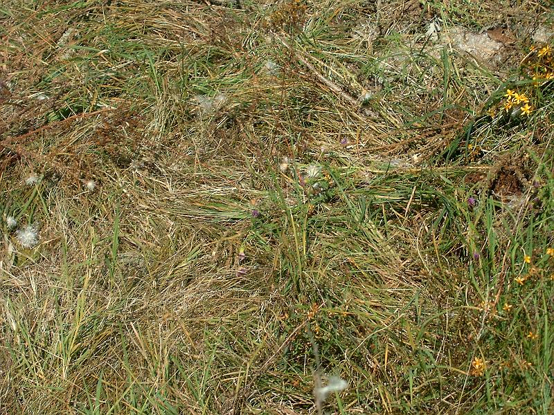 2009.08.21 019.jpg